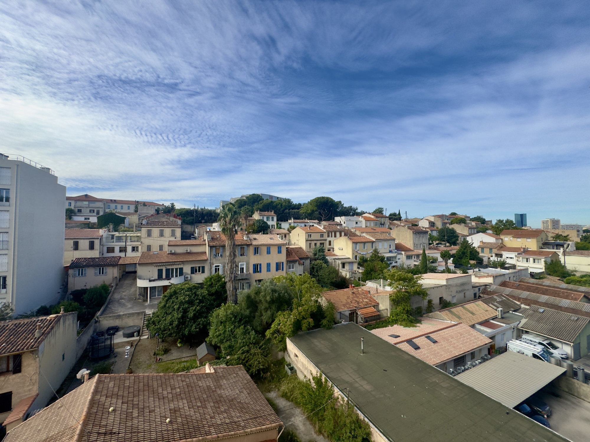 2000x2000-orientation-0deg (1)