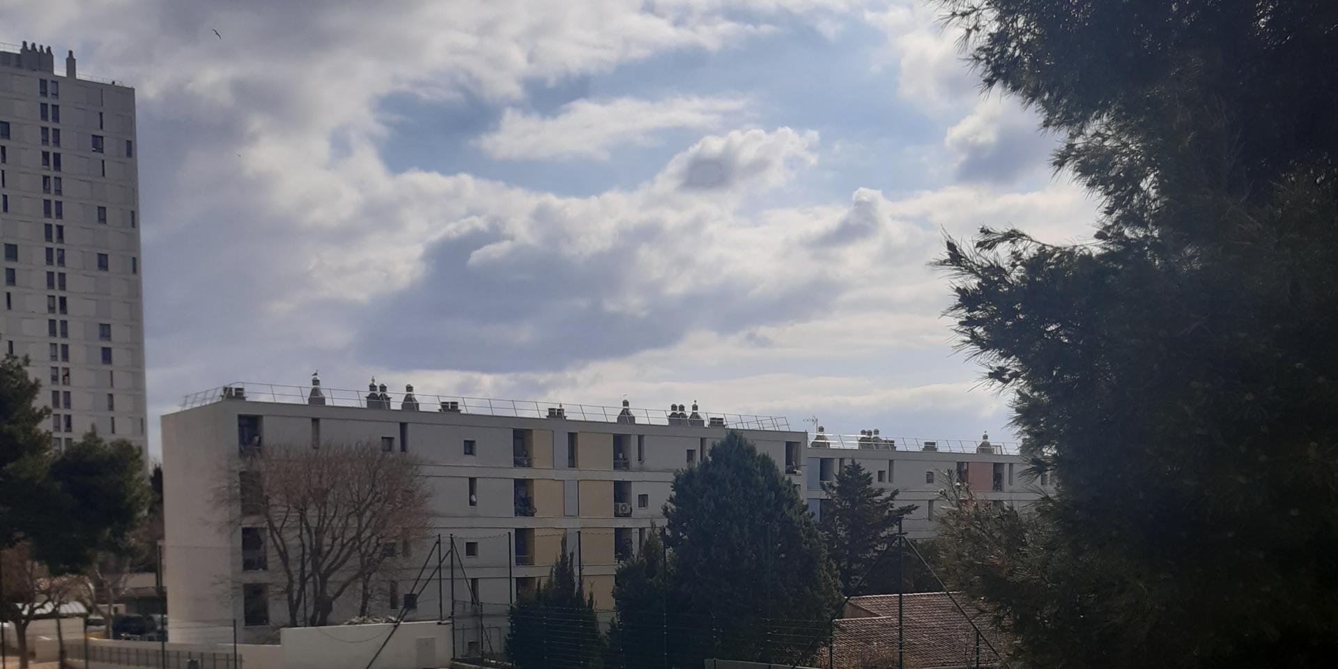 Plateau-Sportif-de-la-Viste-3-1920x960-crop-1691588939